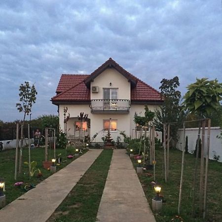 מלון באלוטשטי Blue Sky House מראה חיצוני תמונה